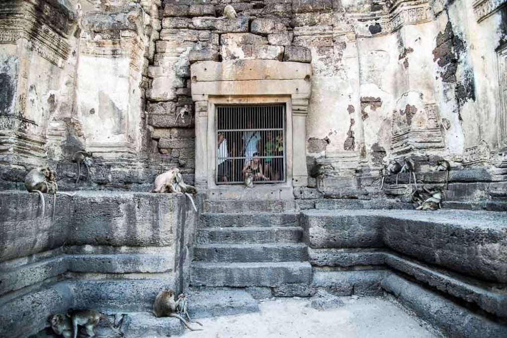 The LopBuri Monkey Temple, north of Bangkok